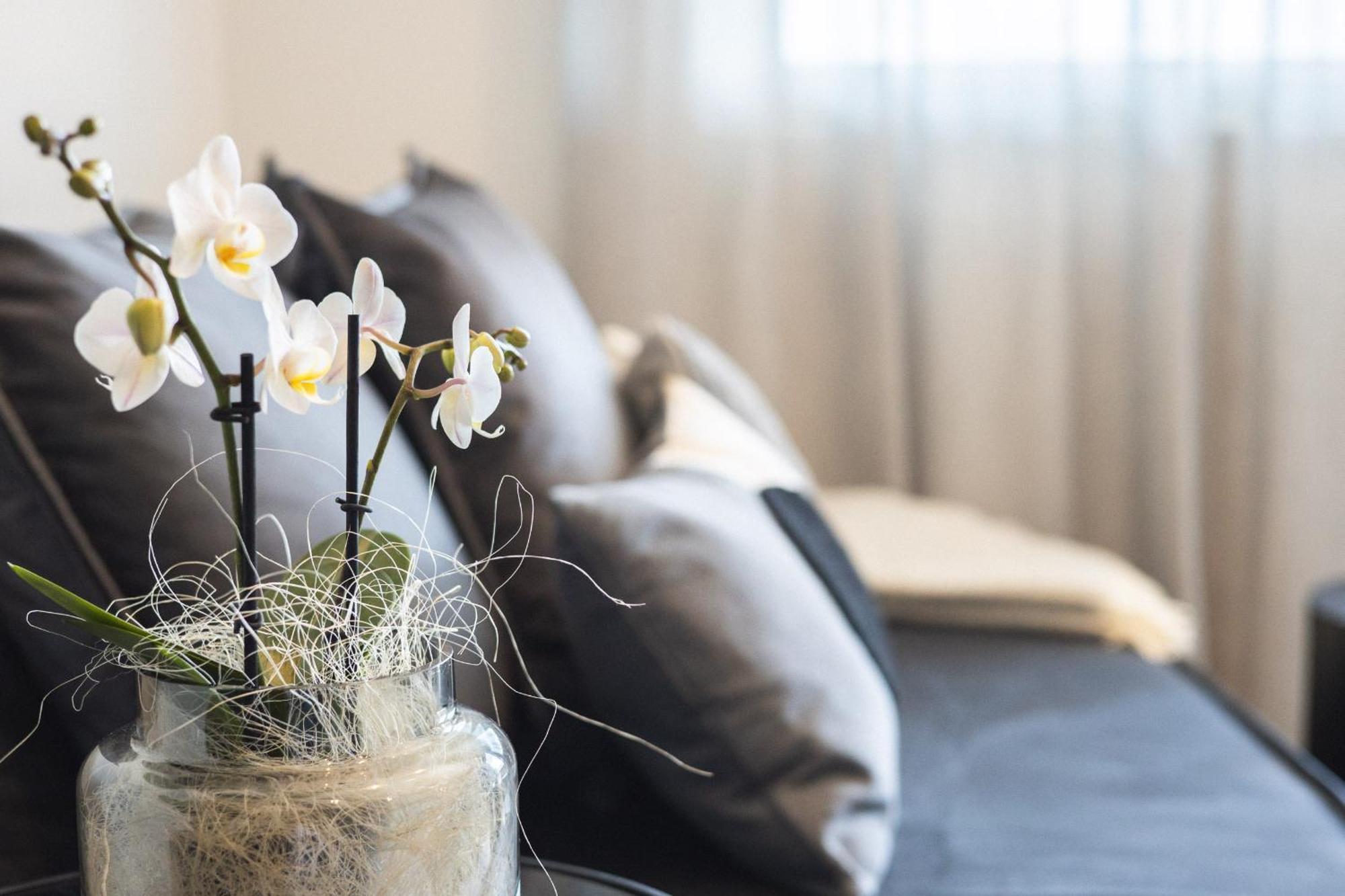 Luxe Vista City Apartments Algund Εξωτερικό φωτογραφία